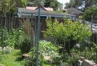 Windera NSWvegetable-gardens-12.jpg; ?>