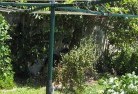Windera NSWvegetable-gardens-13.jpg; ?>