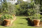 Windera NSWvegetable-gardens-3.jpg; ?>