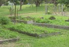 Windera NSWvegetable-gardens-5.jpg; ?>